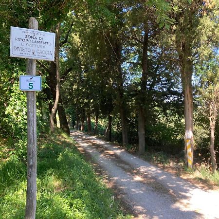 Le Giuncaie - Vigna Con Alloggio Montescudaio Εξωτερικό φωτογραφία