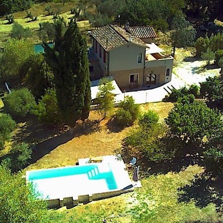 Le Giuncaie - Vigna Con Alloggio Montescudaio Εξωτερικό φωτογραφία