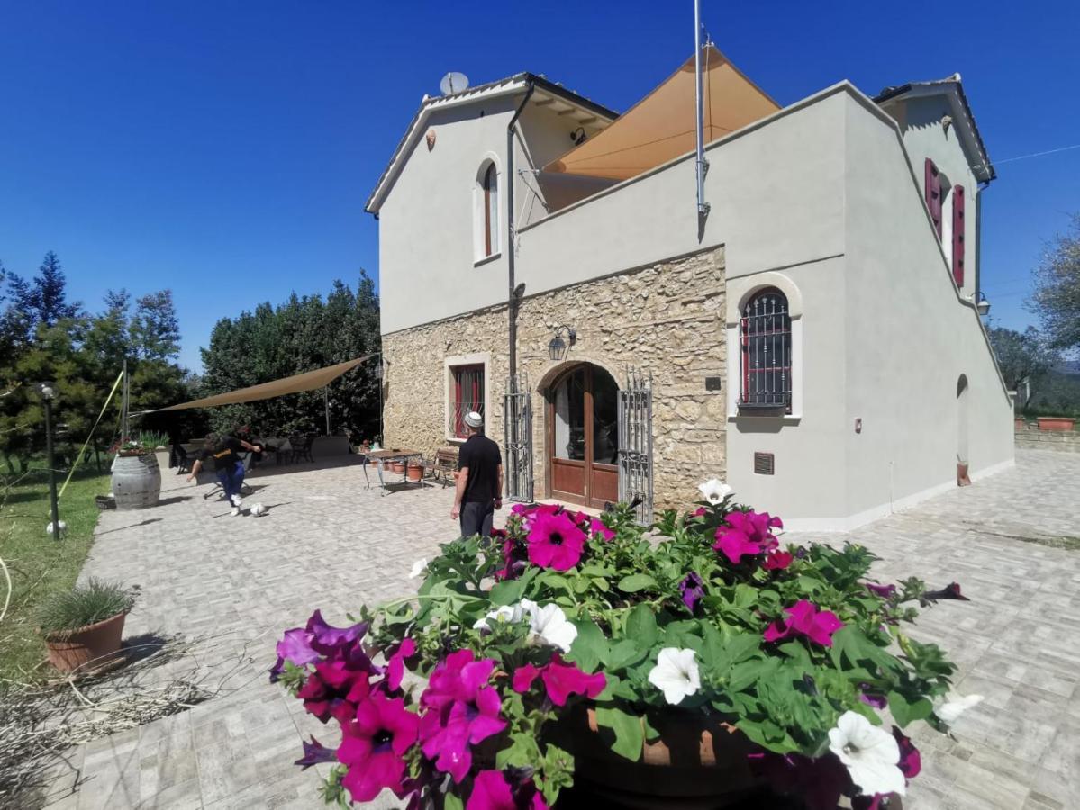 Le Giuncaie - Vigna Con Alloggio Montescudaio Εξωτερικό φωτογραφία