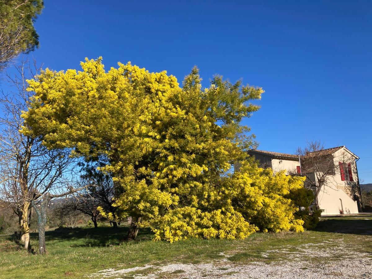 Le Giuncaie - Vigna Con Alloggio Montescudaio Εξωτερικό φωτογραφία