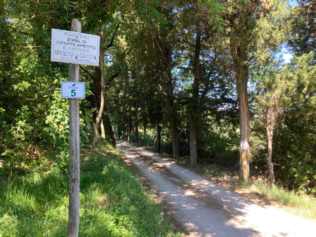 Le Giuncaie - Vigna Con Alloggio Montescudaio Εξωτερικό φωτογραφία