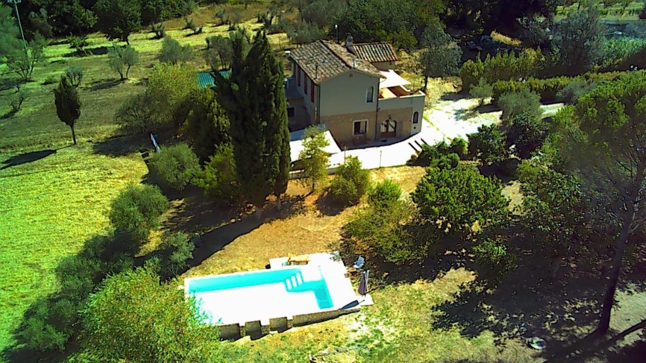 Le Giuncaie - Vigna Con Alloggio Montescudaio Εξωτερικό φωτογραφία